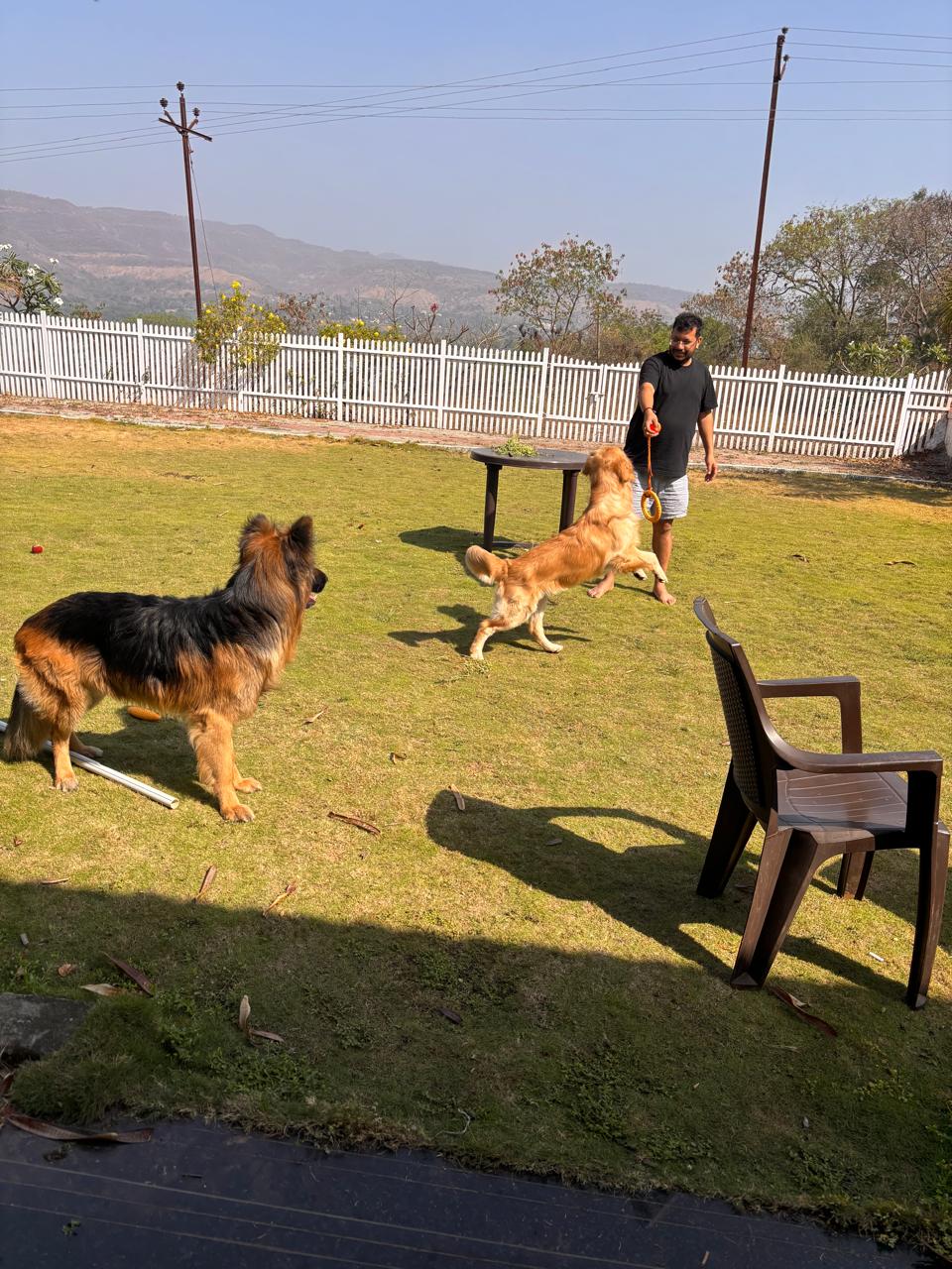 Training