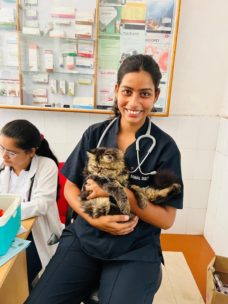Veterinary Support